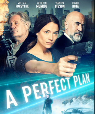 مشاهدة فيلم A Perfect Plan 2020 مترجم